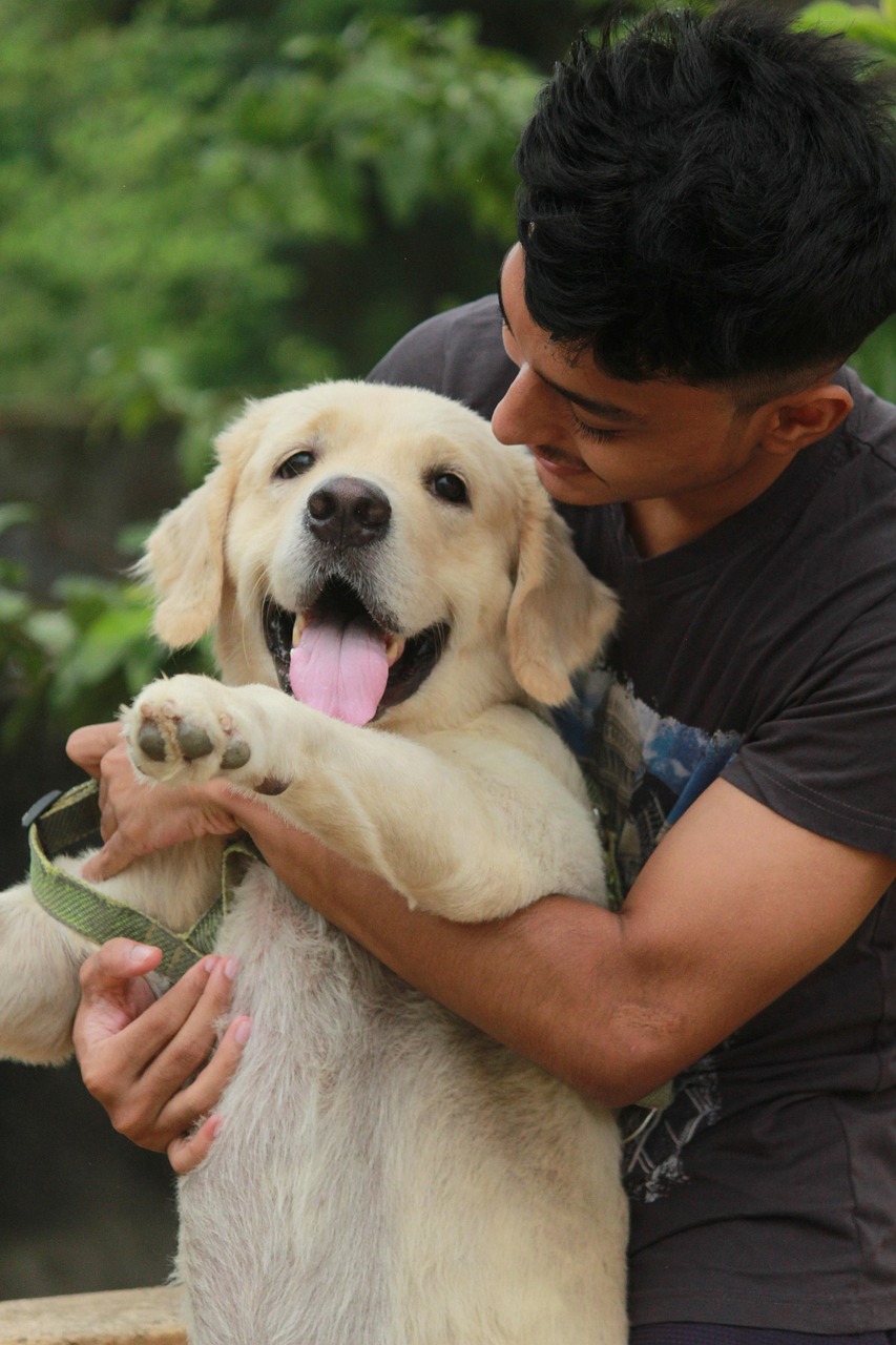 dog-7621530_1280